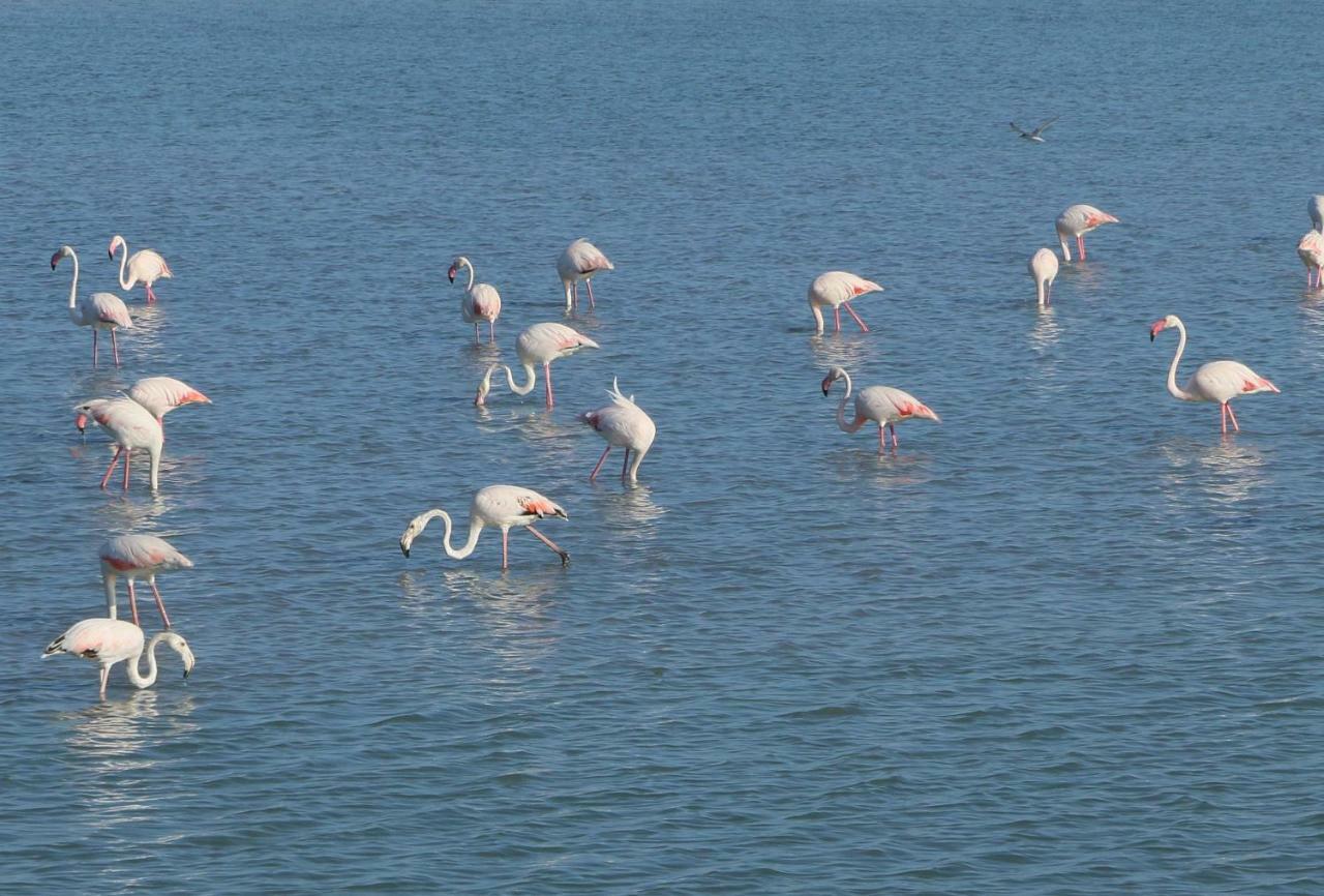 Villa Azul San Pedro del Pinatar Luaran gambar